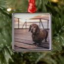 Recherche de chien memorial ornements Toute personne