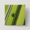 Recherche de diagonale badges Vert