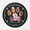 Recherche de pet memorial magnets Dog