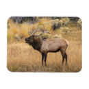 Recherche de bramante maison deco Wapiti