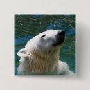 Recherche de ours blanc badges Animal