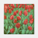 Recherche de paysage de tulipe magnets Printemps