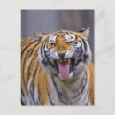 Recherche de taiwan cartes postales Nature