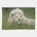 Recherche de faune cuisine linges Blanc