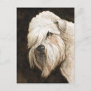 Recherche de revêtement cartes postales Dog