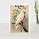 Zoek naar vogels vintage kaarten Lief