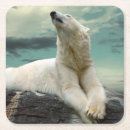 Recherche de ours dessous de verres Nuages