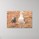 Recherche de crâne impressions sur toile Animal