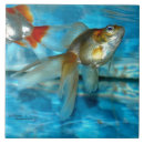 Zoek naar goudvis tegels Aquarium