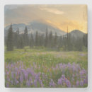 Recherche de indien dessous de verres Paysage