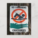 Recherche de dang cartes postales Alligator