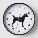 Recherche de parson russell terrier Chien