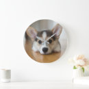 Recherche de corgi horloges Mignon