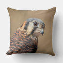 Recherche de oiseau de proie coussins Observation des oiseaux