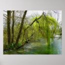 Zoek naar wilgen posters Water