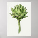 Zoek naar artisjok kunst Vruchten
