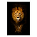 Zoek naar brullende leeuw posters Koning van de jungle