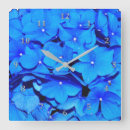 Recherche de hortensia horloges Botanique