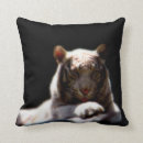 Recherche de grands chats coussins Nature