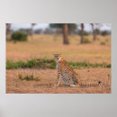 Recherche de taches art Animaux sauvages