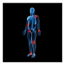 Recherche de xray posters Médical