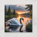 Recherche de cygne blanc cartes visite Faune