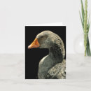 Recherche de poulailler vœux cartes Illustration