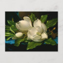 Recherche de velours cartes postales Martin johnson heade