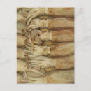 Recherche de calmar cartes postales Tentacules