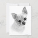 Recherche de réaliste cartes postales Amoureux des chiens
