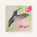 Recherche de colibri Beau