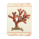 Recherche de corail magnets Océan