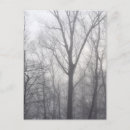 Recherche de bois gris cartes postales Arbres
