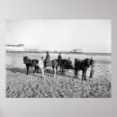 Recherche de new jersey posters Plage