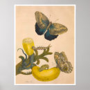 Zoek naar metamorfose kunst Natuur