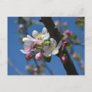 Recherche de arbres fruitiers vœux cartes Fleurs