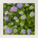 Recherche de hydrangea puzzles Jardin