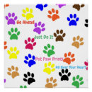 Recherche de pattes posters Chiot