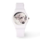 Recherche de labrador montres Amoureux de les chiens