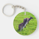 Recherche de kangaroo porteclés Faune