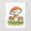 Recherche de esprit forêt cartes postales Mystique