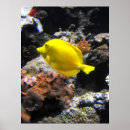 Recherche de saveur posters Jaune
