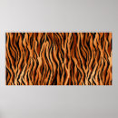 Recherche de tiger pattern Nature