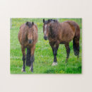 Recherche de champs puzzles Amusant
