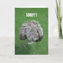 Zoek naar excuse kaarten Sorry