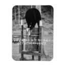Recherche de ordure magnets Humour