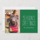Recherche de image labrador vœux cartes Animaux domestiques