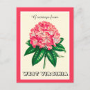 Recherche de rhododendron cartes postales Vintage