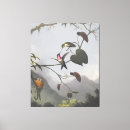Recherche de heade de martin johnson Colibris