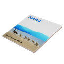 Zoek naar wilde vogels tegels Natuur